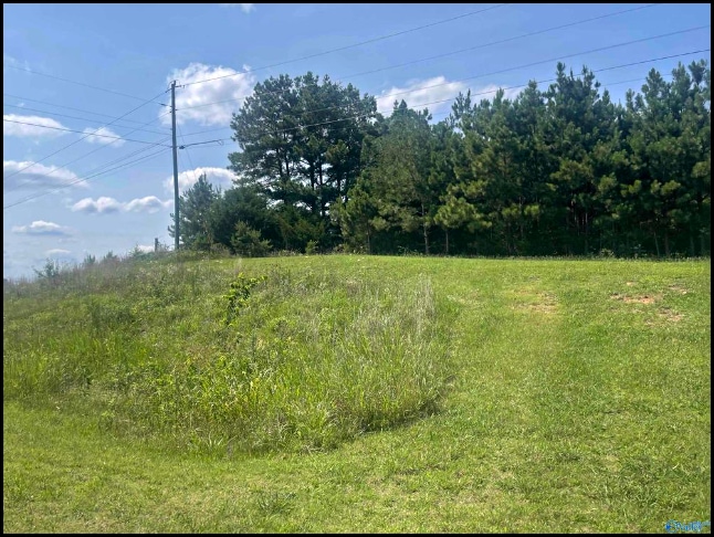 Lot for sale in Town Creek, Alabama through Apex Real Estate.