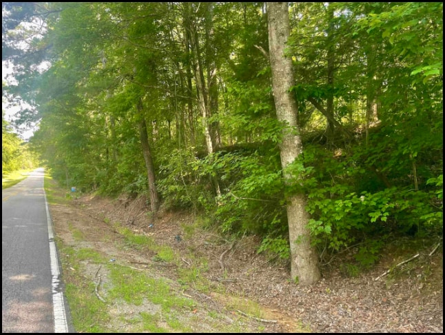 Land for sale in Bibb, Alabama through Apex Real Estate