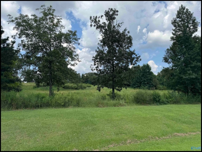 Lot for sale in Town Creek, Alabama through Apex Real Estate.