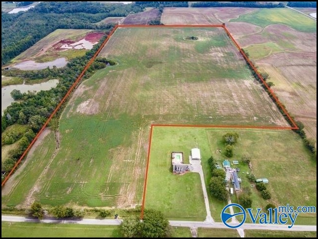 Land for sale in Leighton, Alabama through Apex Real Estate