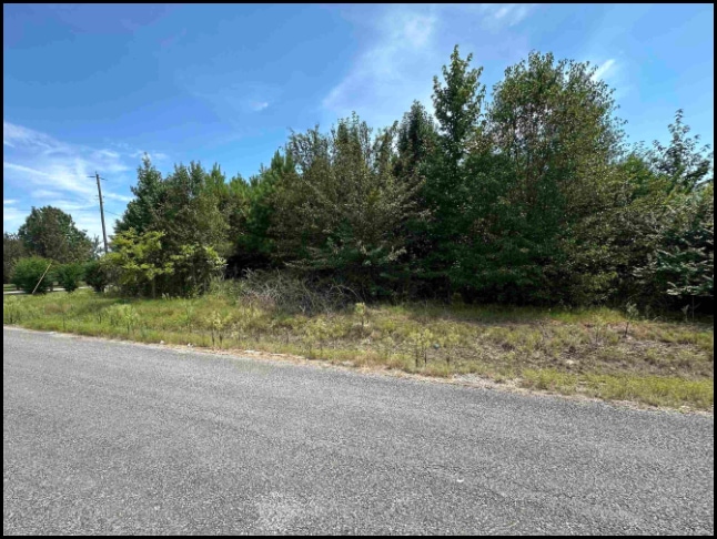 Land for sale in Trinity, Alabama through Apex Real Estate