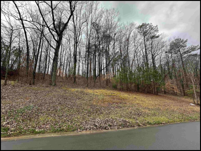 Land for sale in Cullman Alabama through Apex Real Estate